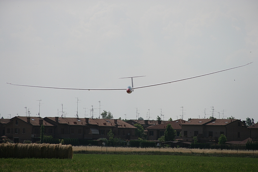 Img 290.jpg